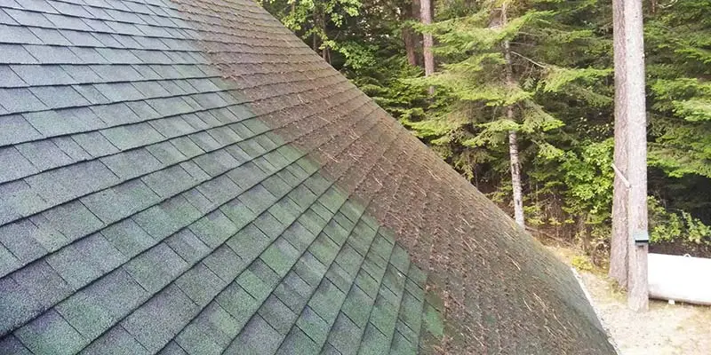roof cleaning near me before and after roof cleaning